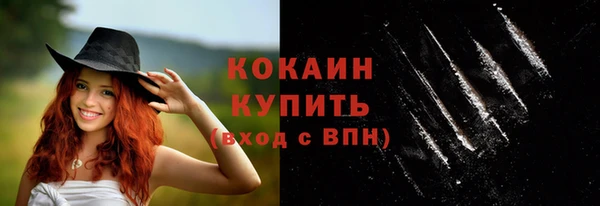 бошки Белокуриха