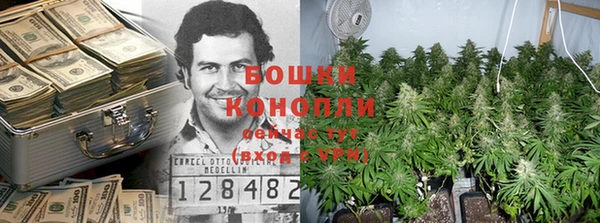 бошки Белокуриха