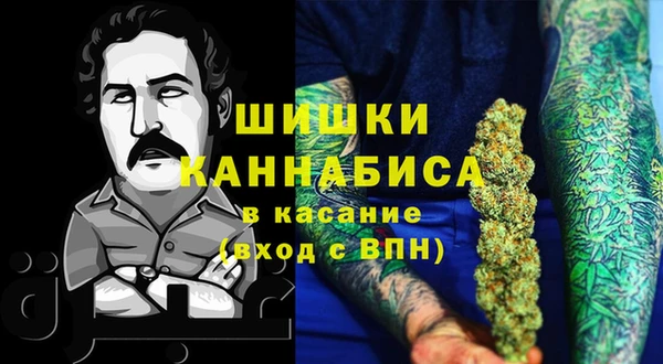 бошки Белокуриха