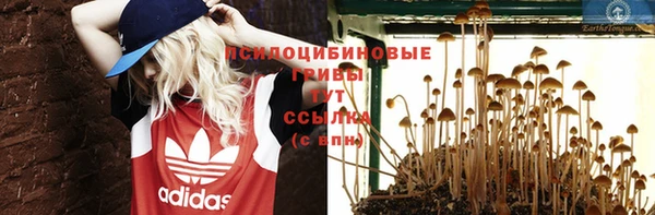 эйфоретик Беломорск