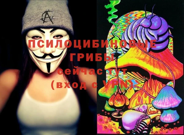эйфоретик Беломорск